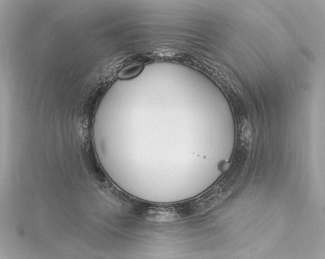 X0000115430559200911251228