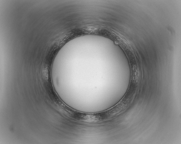 X0000115430562200911251228