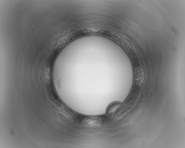 X0000115430563200911251228