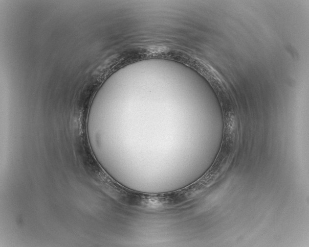 X0000115430565200911251228