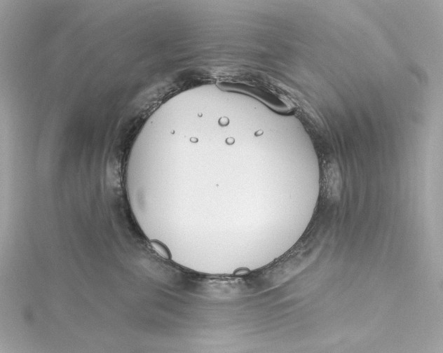 X0000115430571200911251228