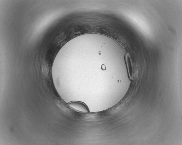 X0000115430574200911251228