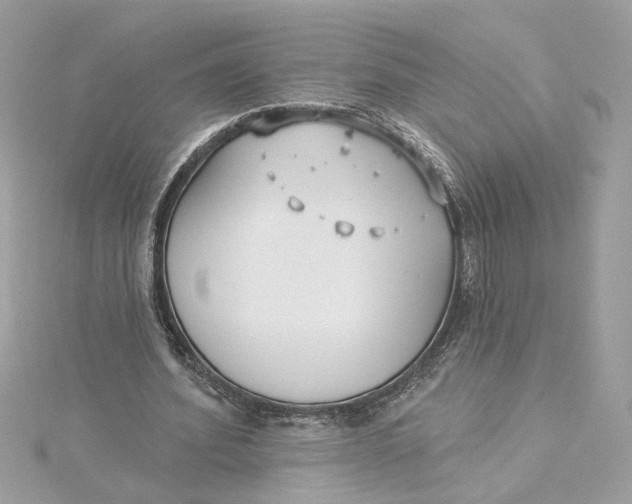 X0000115430580200911251227