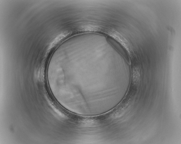 X0000115430581200911251227