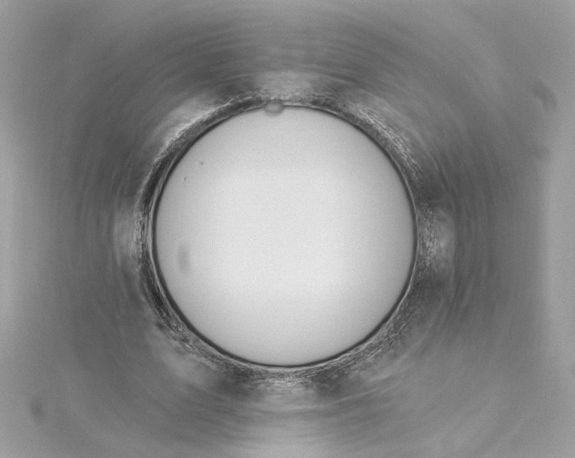 X0000115430583200911251227