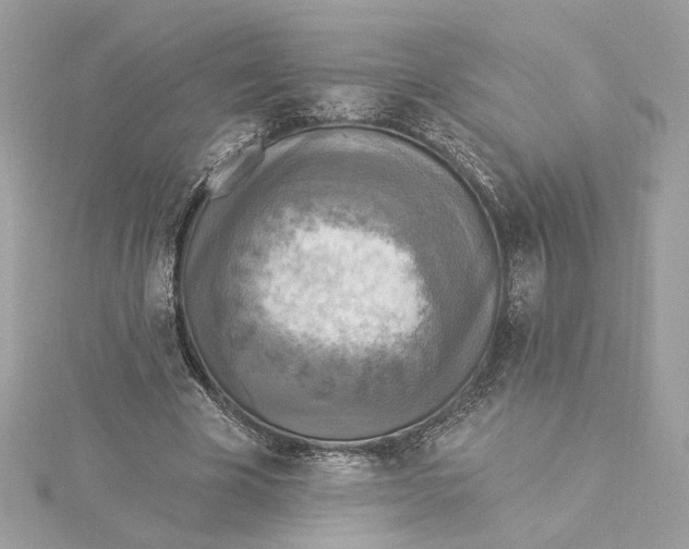 X0000115430585200911251227