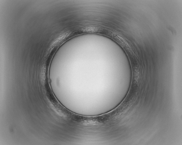 X0000115430586200911251227