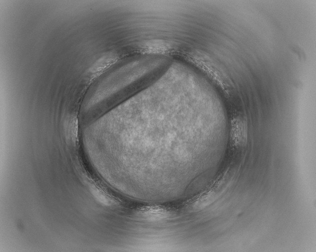 X0000115430589200911251227