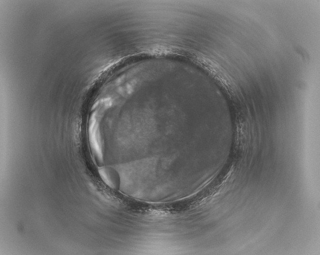 X0000115430592200911251227