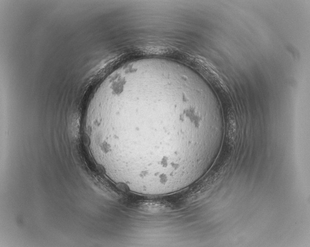 X0000115430596200911251227