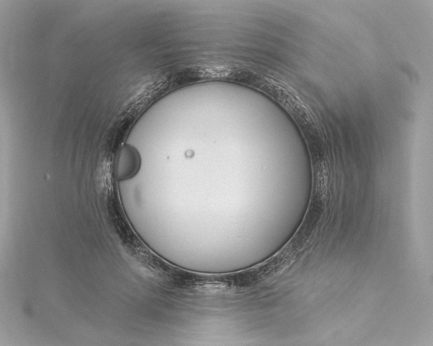 X0000115430598200911251227