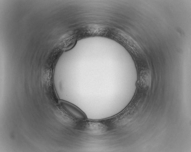 X0000115430605200911251227