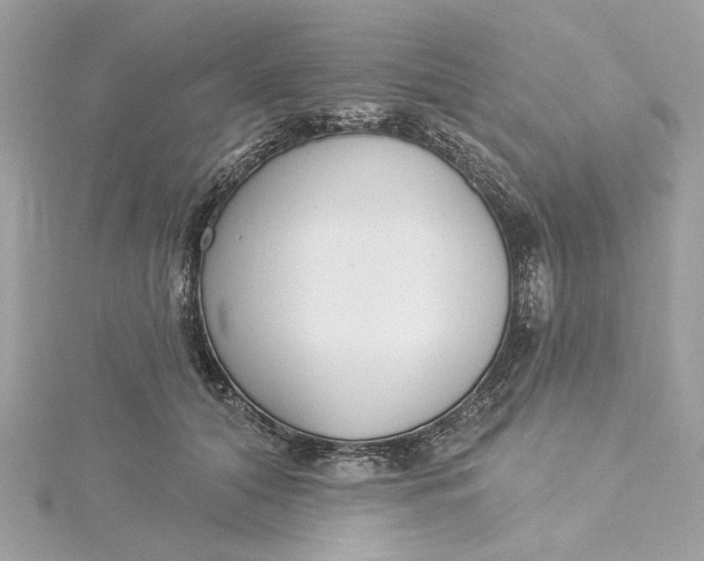 X0000115430608200911251227