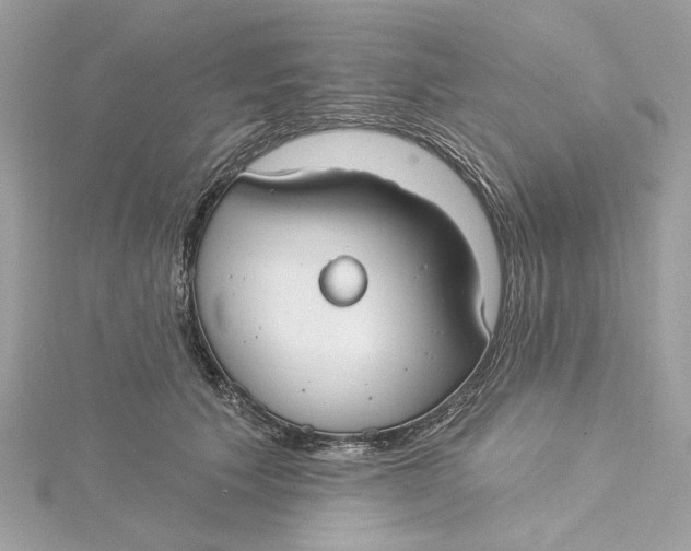 X0000115430609200911251227