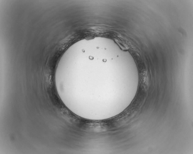 X0000115430615200911251227