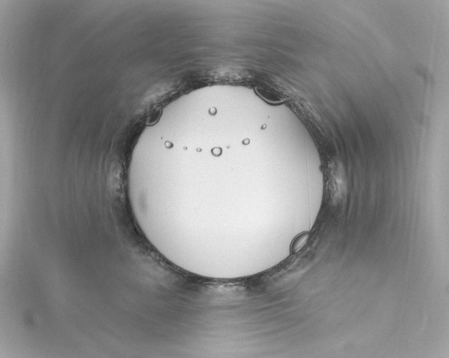 X0000115430619200911251227