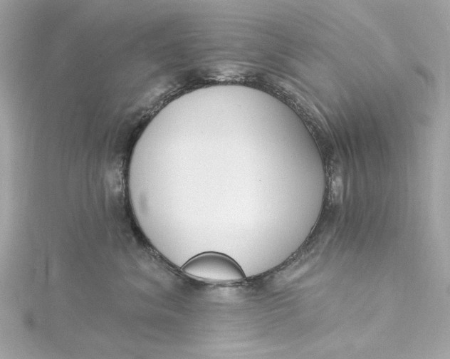 X0000115430620200911251227