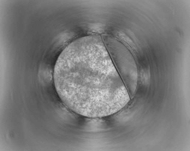 X0000115430621200911251227