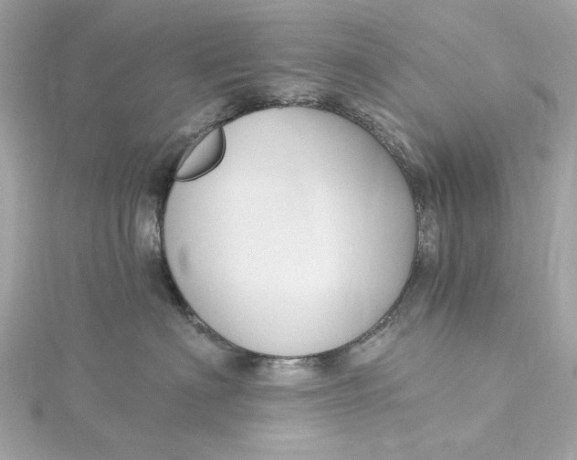 X0000115430622200911251227