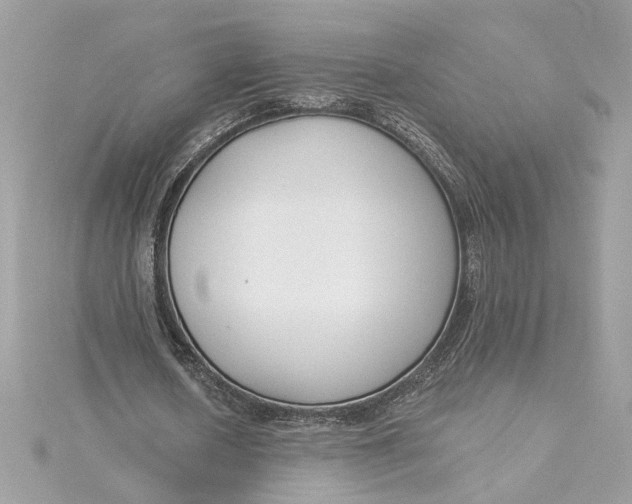 X0000115430626200911251226