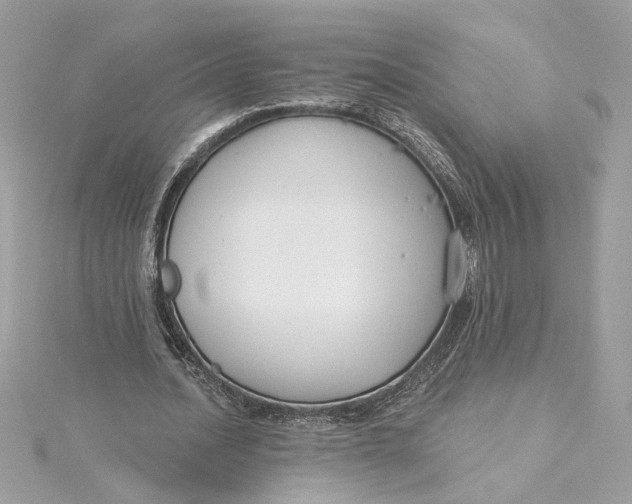 X0000115430628200911251226