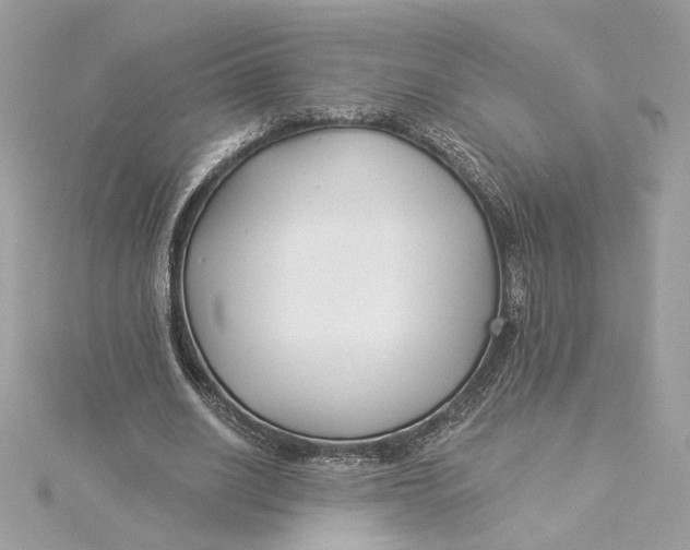 X0000115430630200911251226