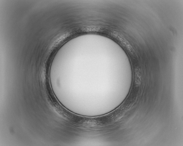 X0000115430631200911251226