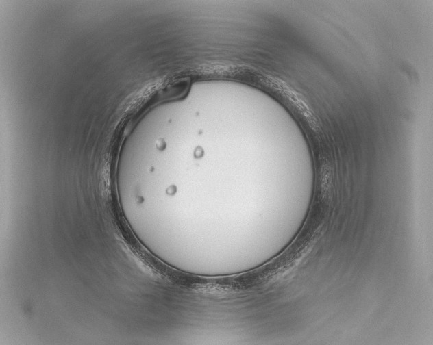 X0000115430633200911251226