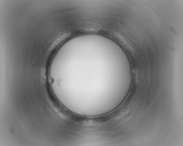 X0000115430634200911251226