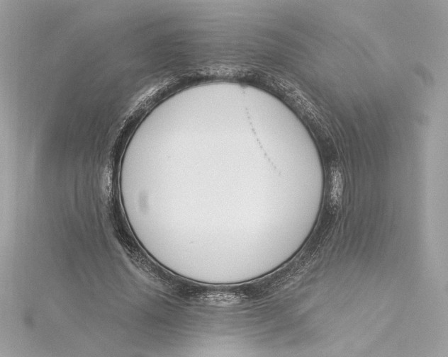 X0000115430636200911251226