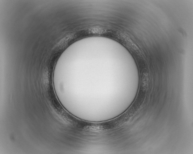 X0000115430639200911251226