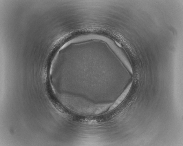 X0000115430640200911251226