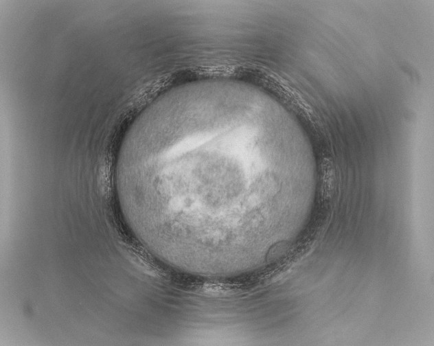 X0000115430641200911251226