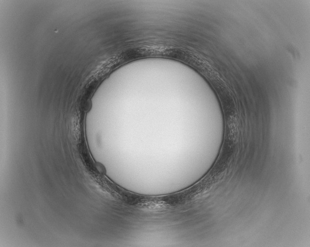 X0000115430642200911251226