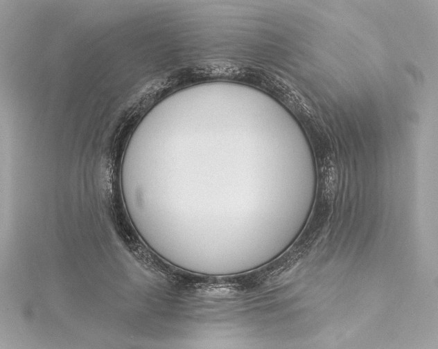 X0000115430643200911251226