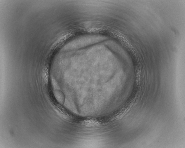 X0000115430644200911251226