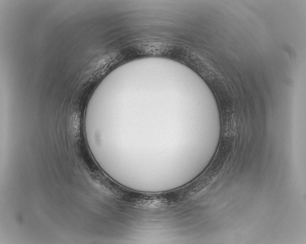 X0000115430646200911251226