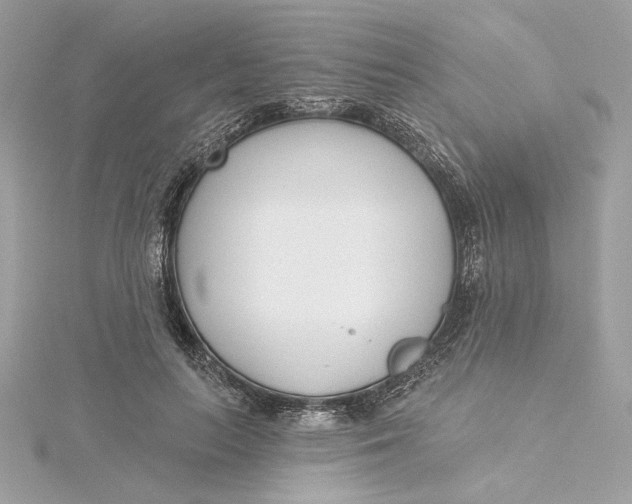 X0000115430647200911251226