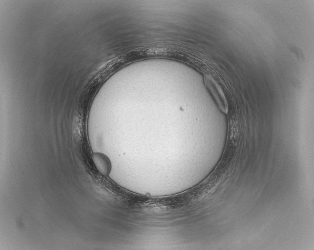 X0000115430648200911251226