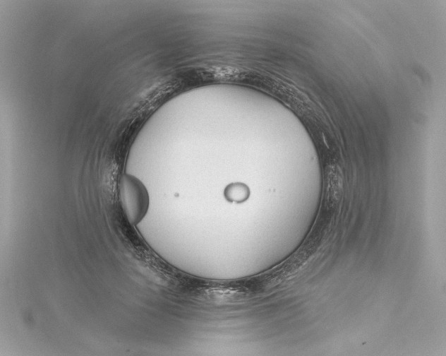 X0000115430650200911251227