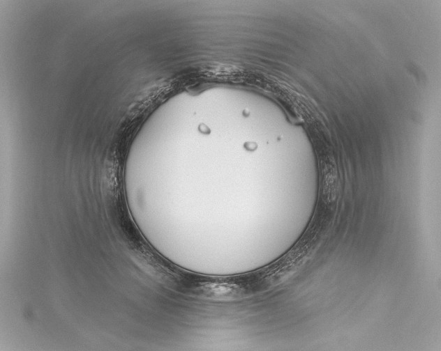 X0000115430654200911251227