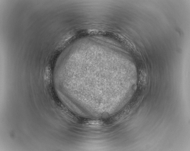 X0000115430659200911251227