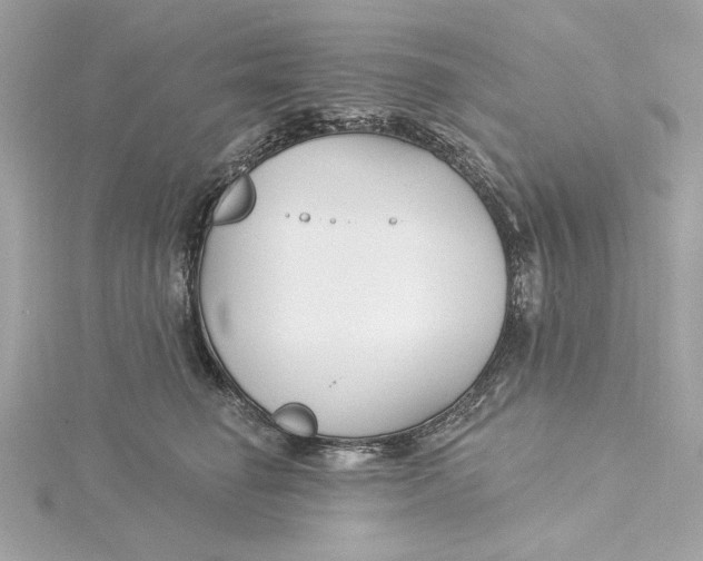 X0000115430662200911251227