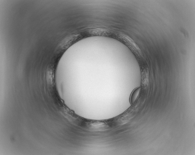 X0000115430669200911251227