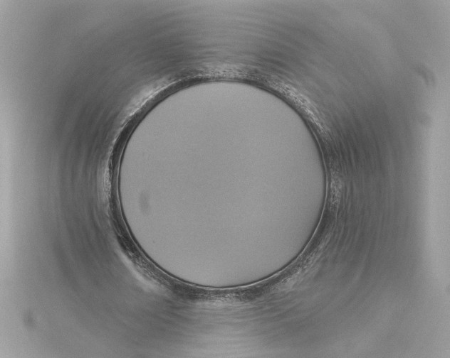 X0000115430674200911251226