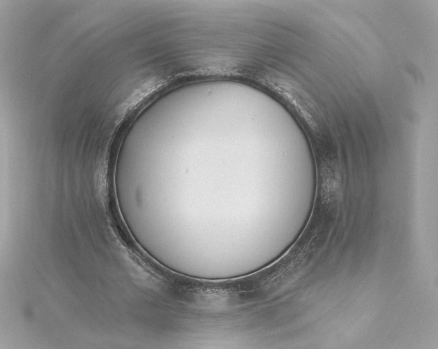 X0000115430677200911251226