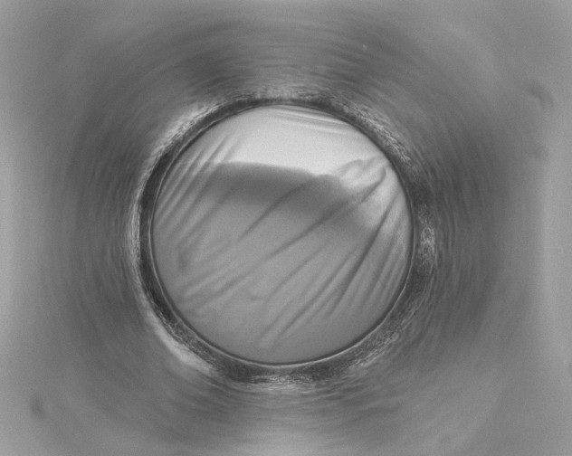 X0000115430678200911251226