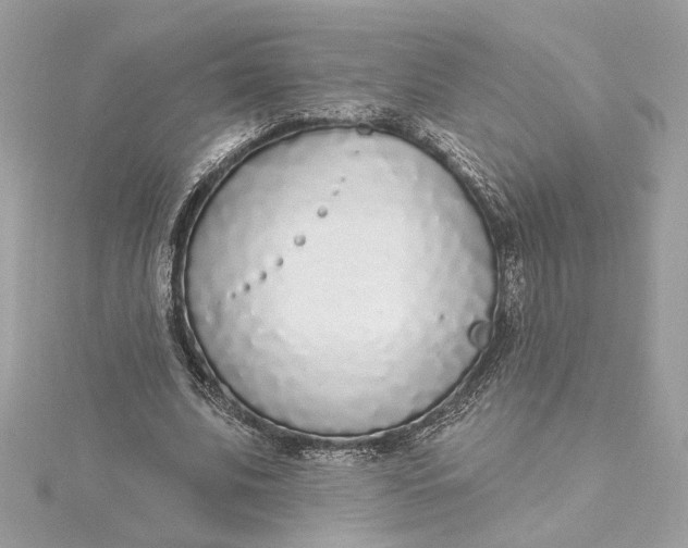 X0000115430679200911251226