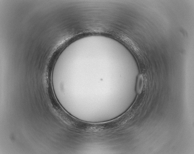 X0000115430680200911251226