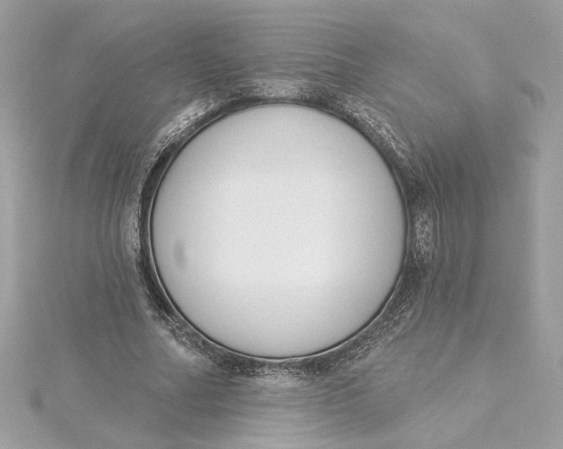 X0000115430682200911251226